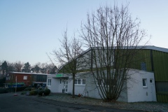 2025.02.08-001-Baumfaellung-Tennishalle-copy