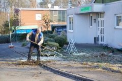 2025.02.08-006-Baumfaellung-Tennishalle-copy